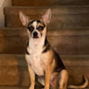 Meet your Posher, Leanne